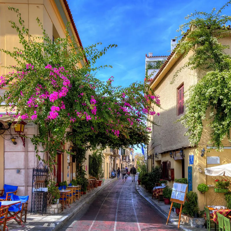 Full Day Private Sightseeing Tour of Classical Athens including Plaka